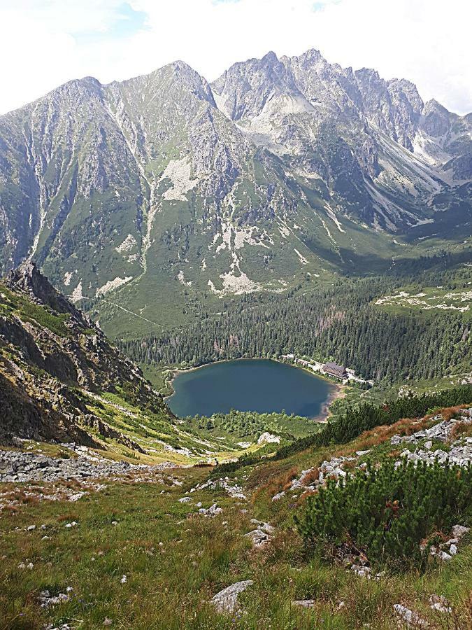 Apartament Magic Tatry, Primo Stary Smokovec Wysokie Tatry Zewnętrze zdjęcie